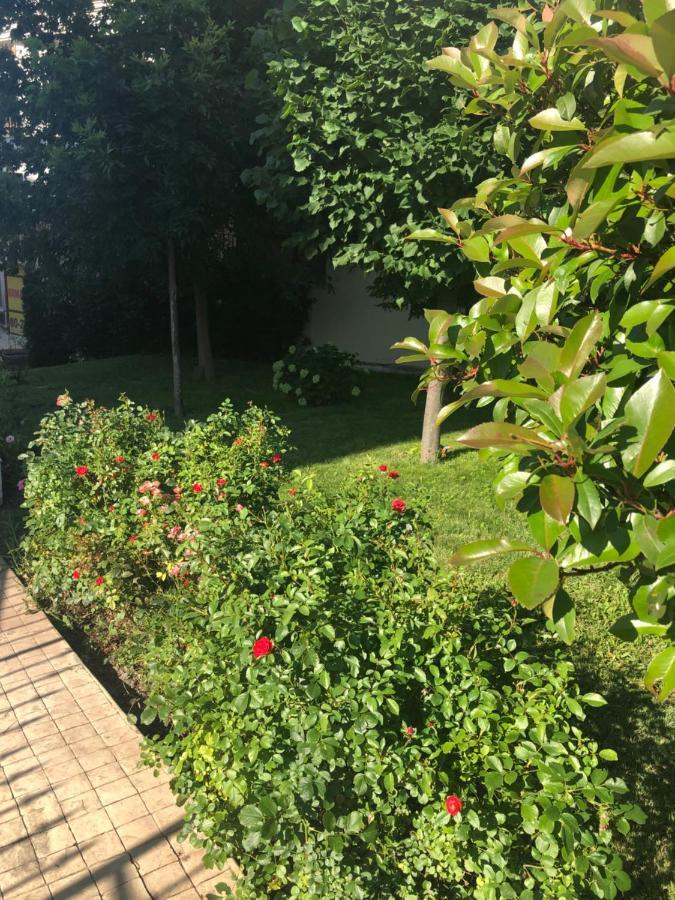 Вила Калабрия Szveti Vlasz Kültér fotó